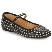 Ballerina's Steve Madden VINETTA-R