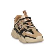 Sneakers Steve Madden KHAKI SPECTATOR