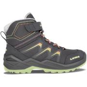 Wandelschoenen Lowa -