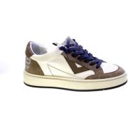 Lage Sneakers 4B12 92207