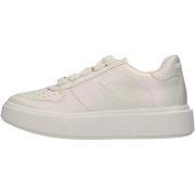 Hoge Sneakers Steve Madden SMPHOOPSTER