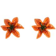 Oorbellen D&amp;G Lily Keramiek Oorbellen Oranje