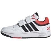 Sneakers adidas -