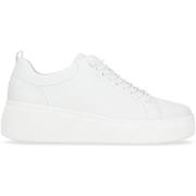 Lage Sneakers Rieker Sneaker