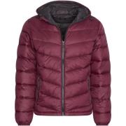 Parka Jas Cappuccino Italia Hooded Winter Jacket Burgundy