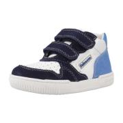 Sneakers Falcotto KLIP 2 VL.