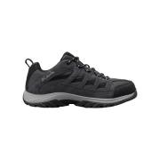 Wandelschoenen Columbia Crestwood Low