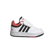 Sneakers adidas Hoops