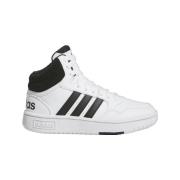 Sneakers adidas Hoops