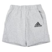 Korte Broek adidas B BOS SHORT