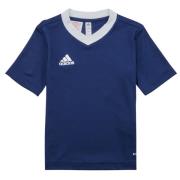 T-shirt Korte Mouw adidas ENT22 JSY Y