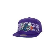 Pet Mitchell And Ness -