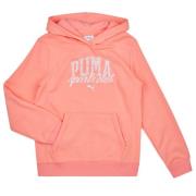 Sweater Puma PUMA CLASS TEE