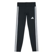 Legging adidas JD6473