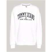 Sweater Tommy Jeans DW0DW19824