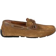 Mocassins Bally 6231345 | Pindar