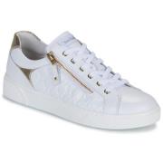 Lage Sneakers NeroGiardini E513001D