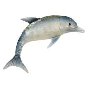 Beeldjes Signes Grimalt Dolfijn Muurornament