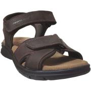 Sandalen Panama Jack Sanders basics