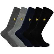 Socks Lyle &amp; Scott 5-pack Liam Premium-sokken