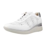 Sneakers Pitillos 10431P