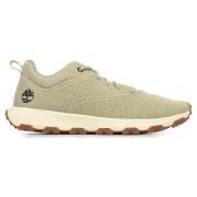 Sneakers Timberland Winsor Park