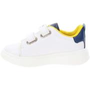 Sneakers Balducci BS4143