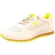 Sneakers Diverse -