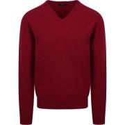 Sweater William Lockie V Lamswol Bordeaux