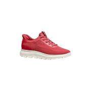 Nette schoenen Geox D SPHERICA PLUS C7008-CORAIL Rouge