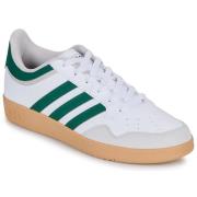 Lage Sneakers adidas HOOPS 4.0