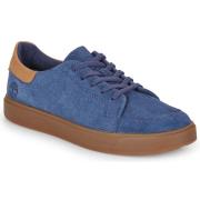 Lage Sneakers Timberland EMERSON STREET