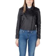 Blazer Blauer ZAMORA 25SBLDC01279