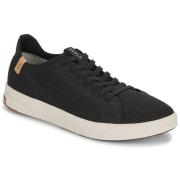 Lage Sneakers Saola CANNON KNIT 2.0