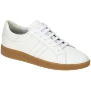 Sneakers Geox -