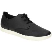 Nette Schoenen Ecco -