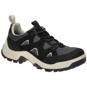 Fitness Schoenen Ecco -