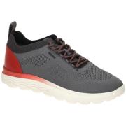 Nette Schoenen Geox -