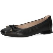 Ballerina's Caprice -