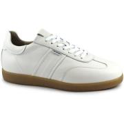 Lage Sneakers NeroGiardini NGU-E25-0686-707