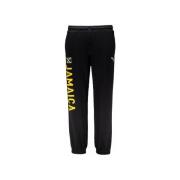 Trainingsbroek Puma 606299_01_pants_jamaica