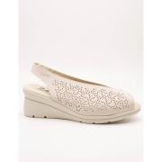 Nette Schoenen 24 Hrs -