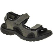 Fitness Schoenen Ecco -