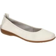 Ballerina's Josef Seibel -