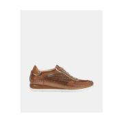 Sneakers Fluchos F2143