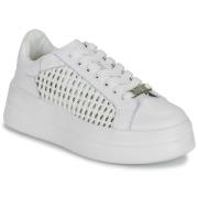 Lage Sneakers Dorking SWIFT