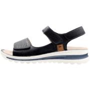 Wandelschoenen Ara -