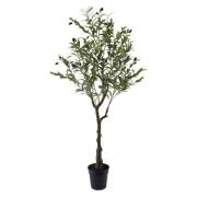 Kunstplanten Signes Grimalt Olijfboom S