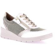 Klassieke Schoenen Grunland DSG-SC4593