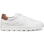 Sneakers Geox Baskets Spherica ECUB-1